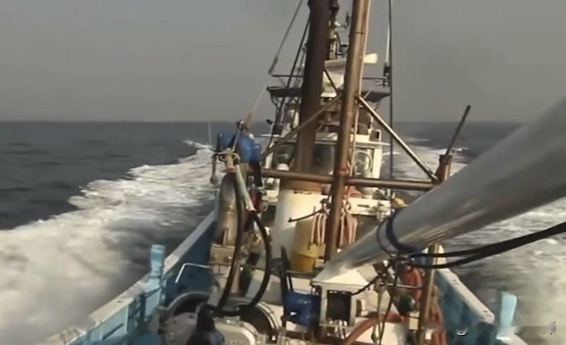 当地时间2月12日，日本水产厅出动“白鸥丸”“那之津”“武藏”和“白萩丸”等四艘