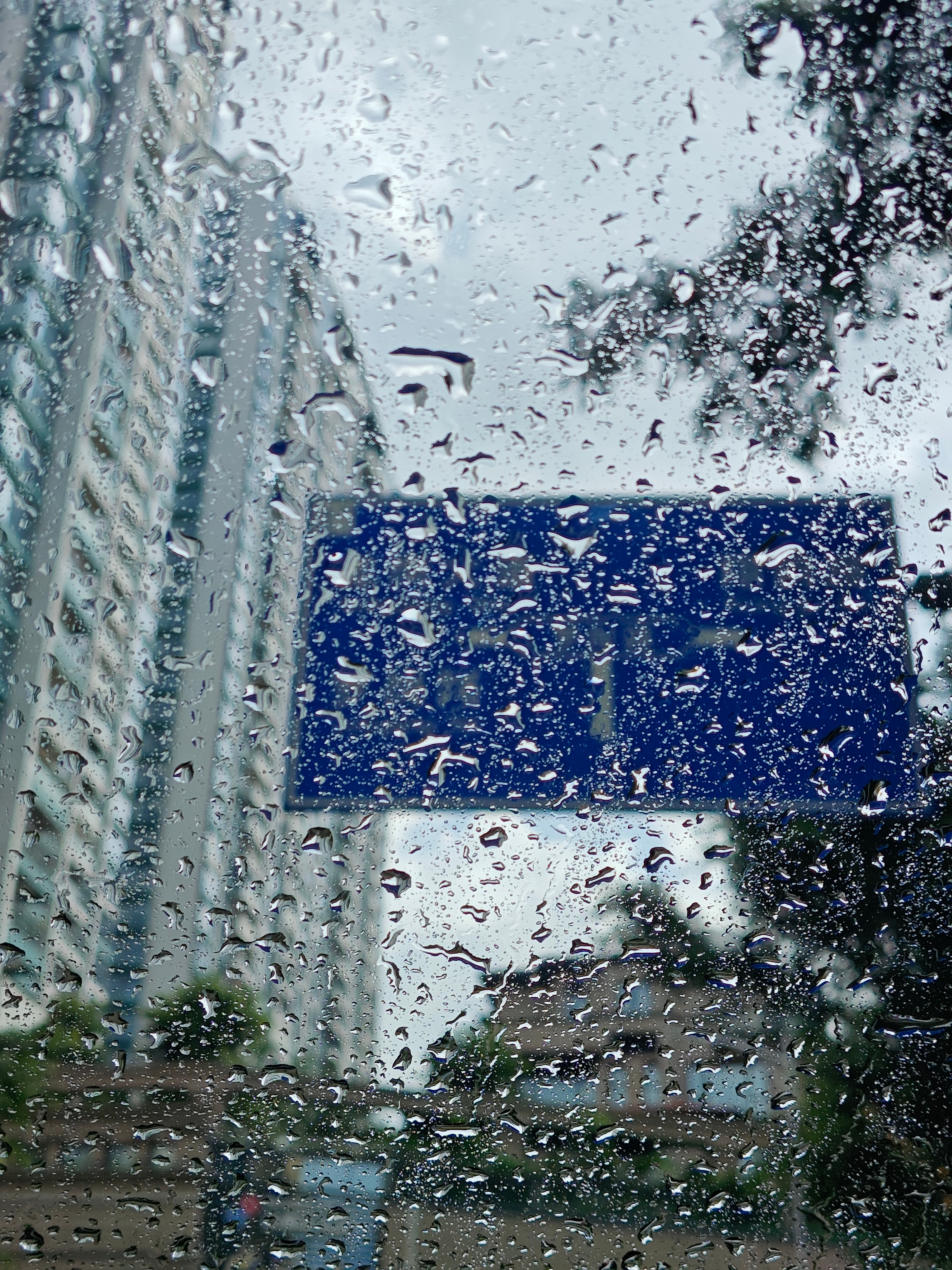 深圳暴雨深圳的雨总是猝不及防没想到五月末还有“雨雪”天气今年的棉花特别多，后视镜