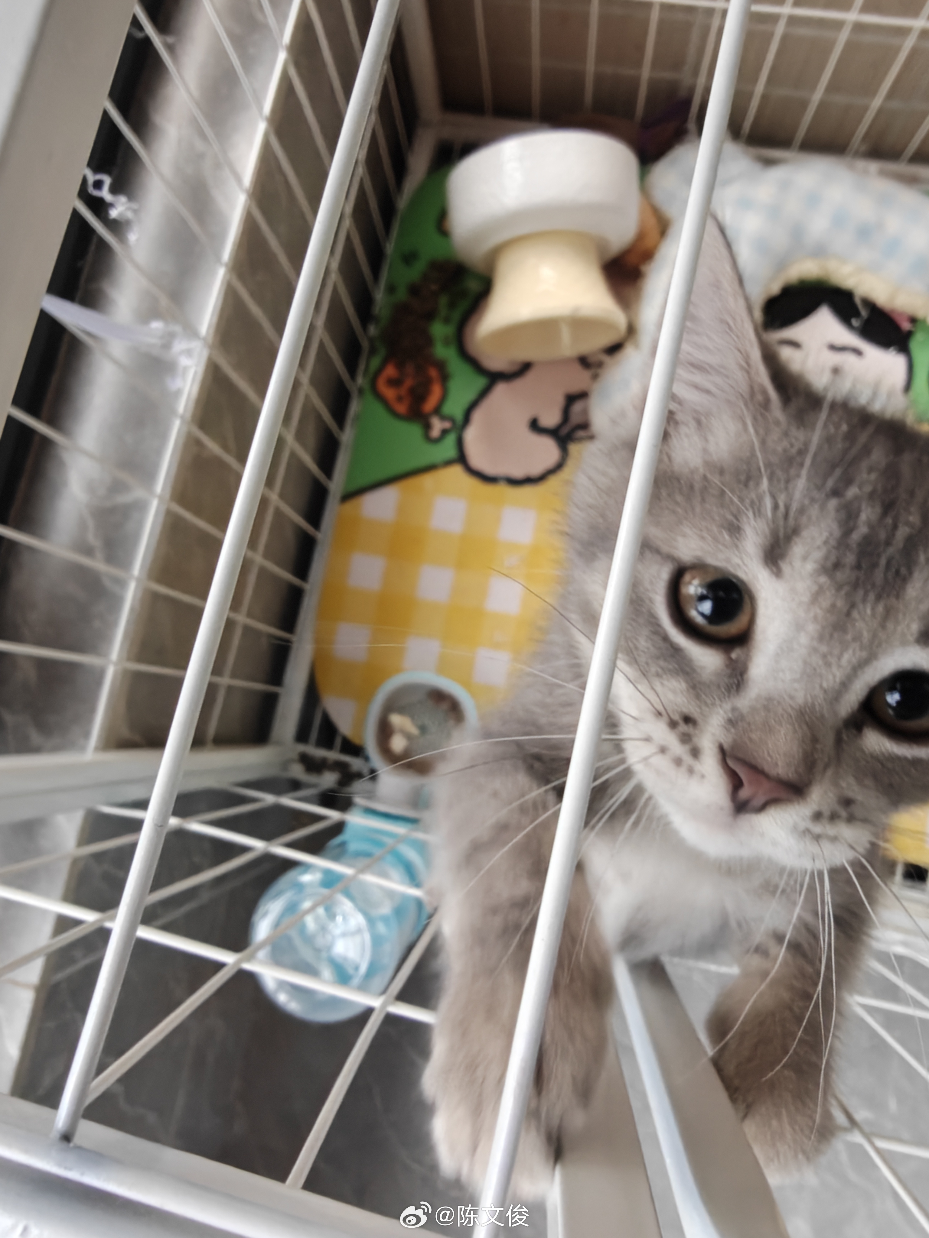 大哥你是印度吃法是吧 