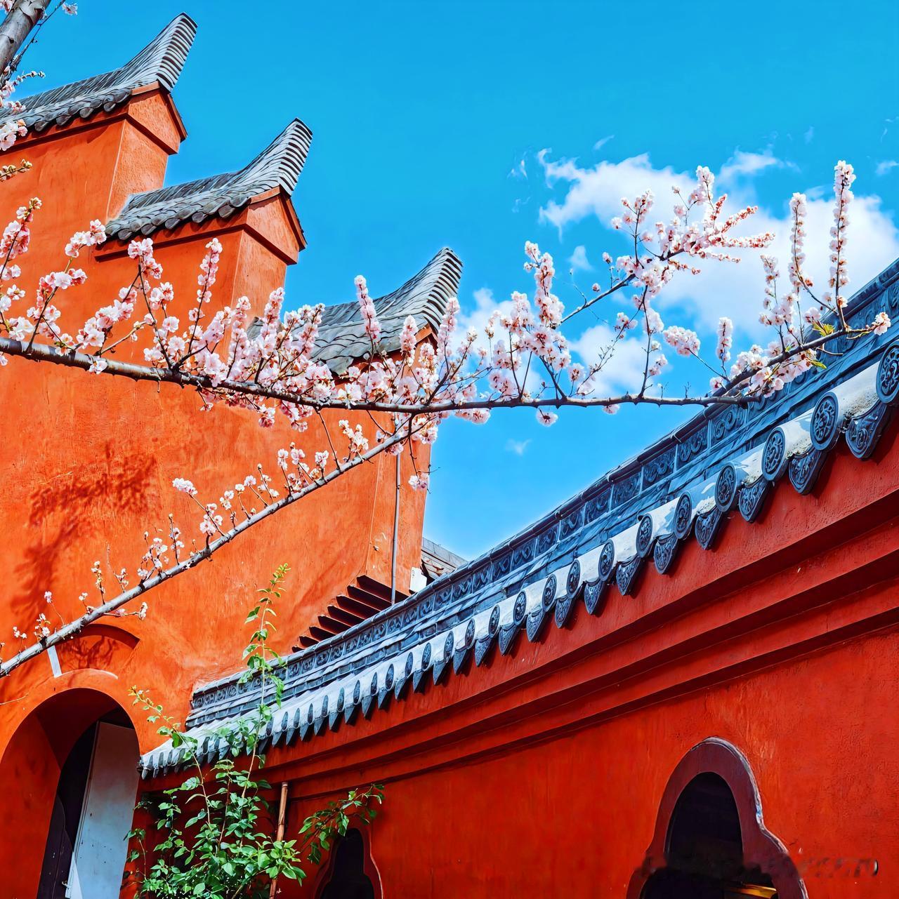 春日去南京赏花，邂逅古风建筑，简直是一场视觉盛宴！
在愚园，江南古典园林的设计巧