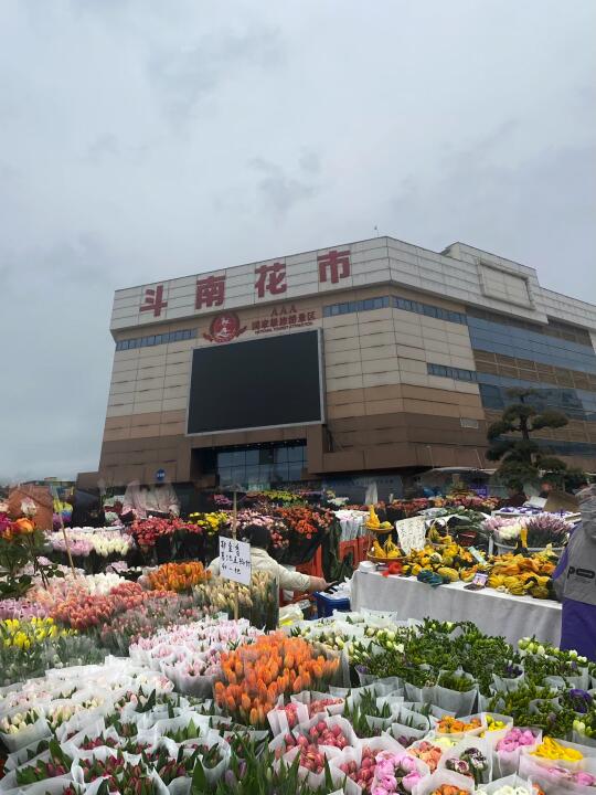 斗南花市-聊胜于无