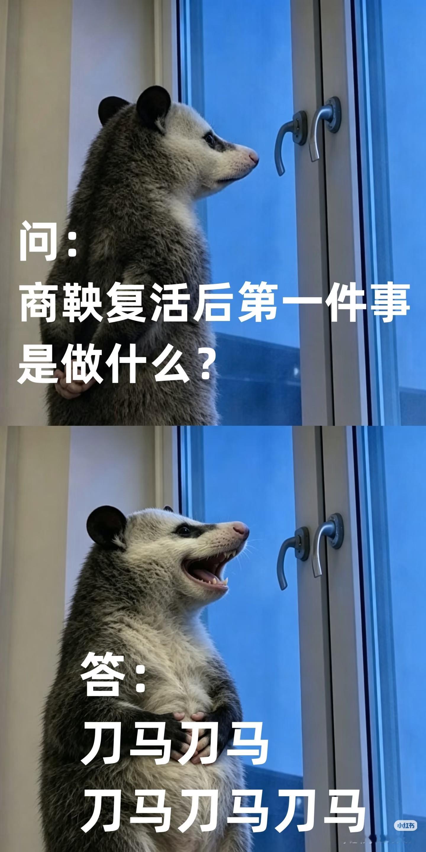 主管问我会剪视频吗？我说会一点，他想看看，我就给他看了我的产出。好了，我工资可以