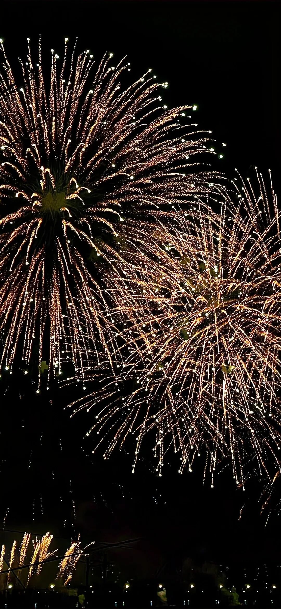 生活手记  希望这一次烟花绽放的同时 爱也随之降临 