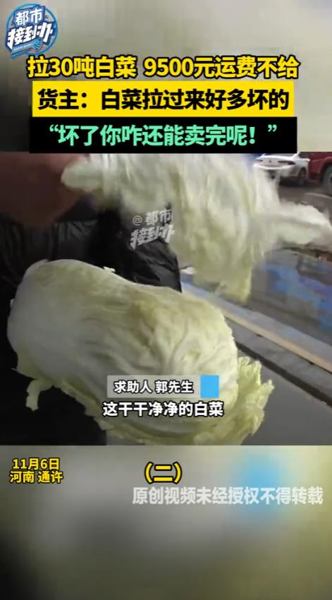 河南通许，男子运了一车30多吨的大白菜，到达货主那里，运费9500元，货主说要卖