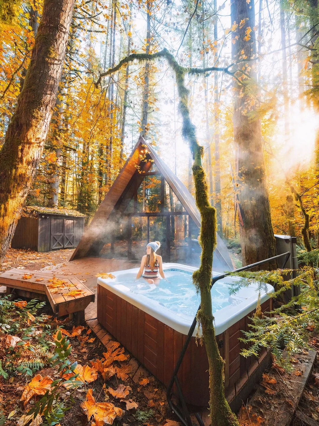 美国华盛顿🪵住进森林童话木屋 秋景绝了！