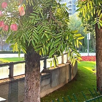 阳光信用‎阳光‎信用 ‎每日一善 慈善是有同情心的人们之间的互助行为，慈善是高尚