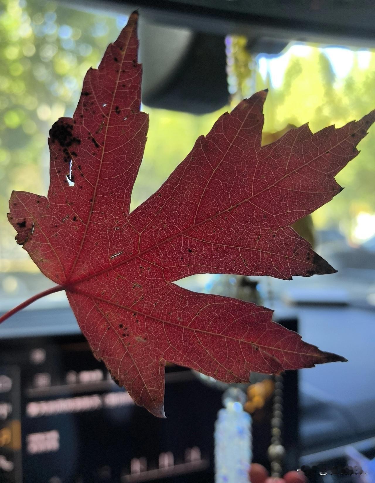 [微风]
财富的本质，
是选择权的储备。

钱或许买不到幸福，
却能买来空间，