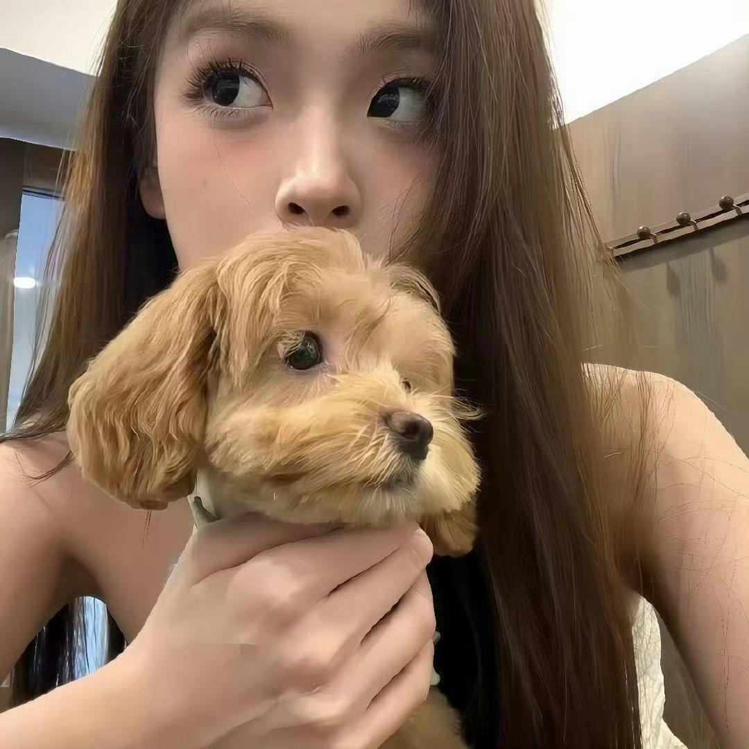 -𝐒𝐇𝐀𝐑𝐄｜𝔀𝓮𝓬𝓱𝓪𝓽 可爱头像｜韩系头像头像 ☆˶>