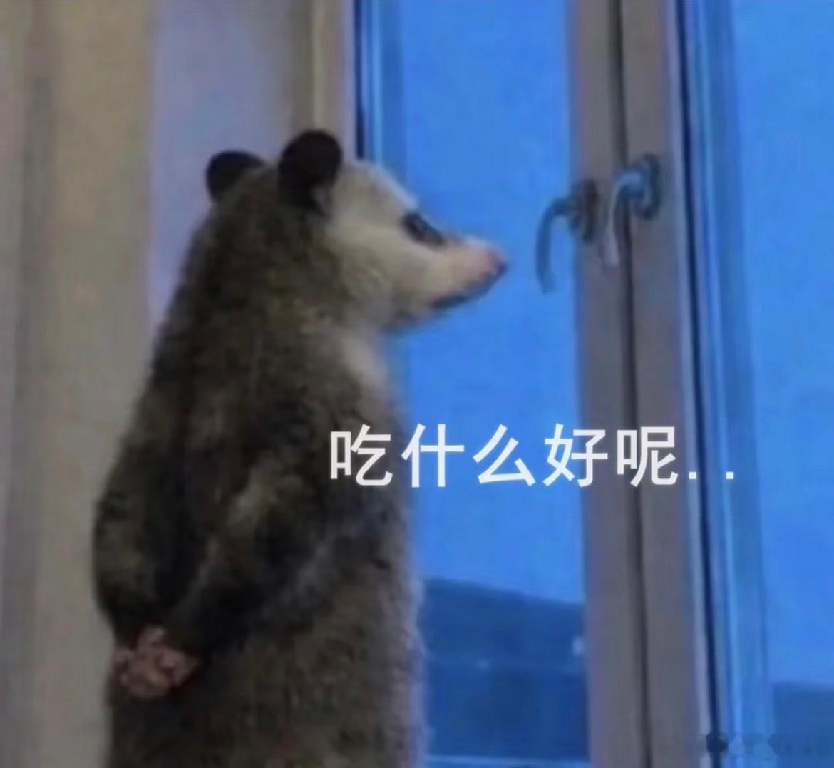 昨天的烧烤串子也变成了昔日的鸡排，在胃里堵了一夜，成了令人生厌的模样 