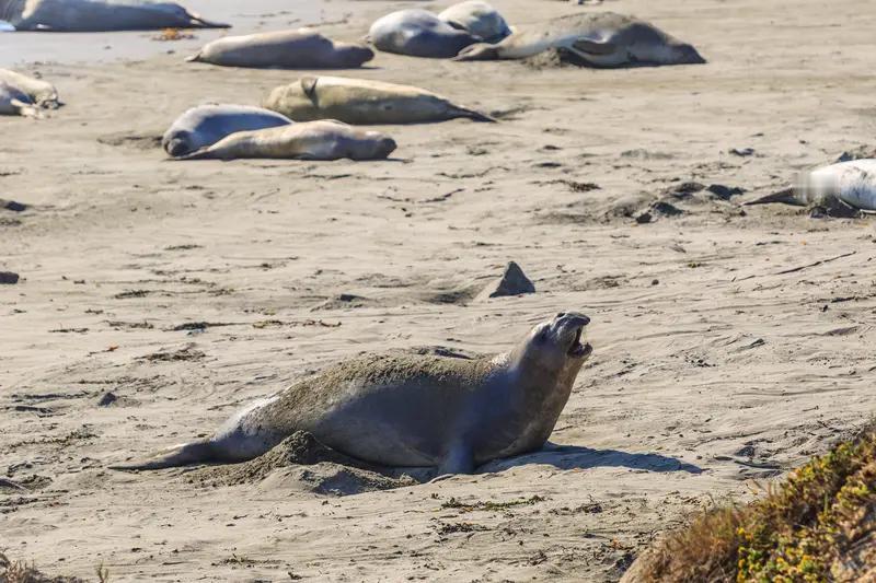 美国人会不会因债务发动战争还真不好说。当下美国联邦债务规模高达36.6万亿美元，