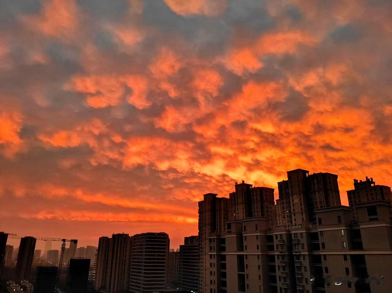 《霞红漫秋》

乙巳季秋末晨天，
杭城东际漫霞烟。
红惹整秋都是热！
迟开冬桂哪