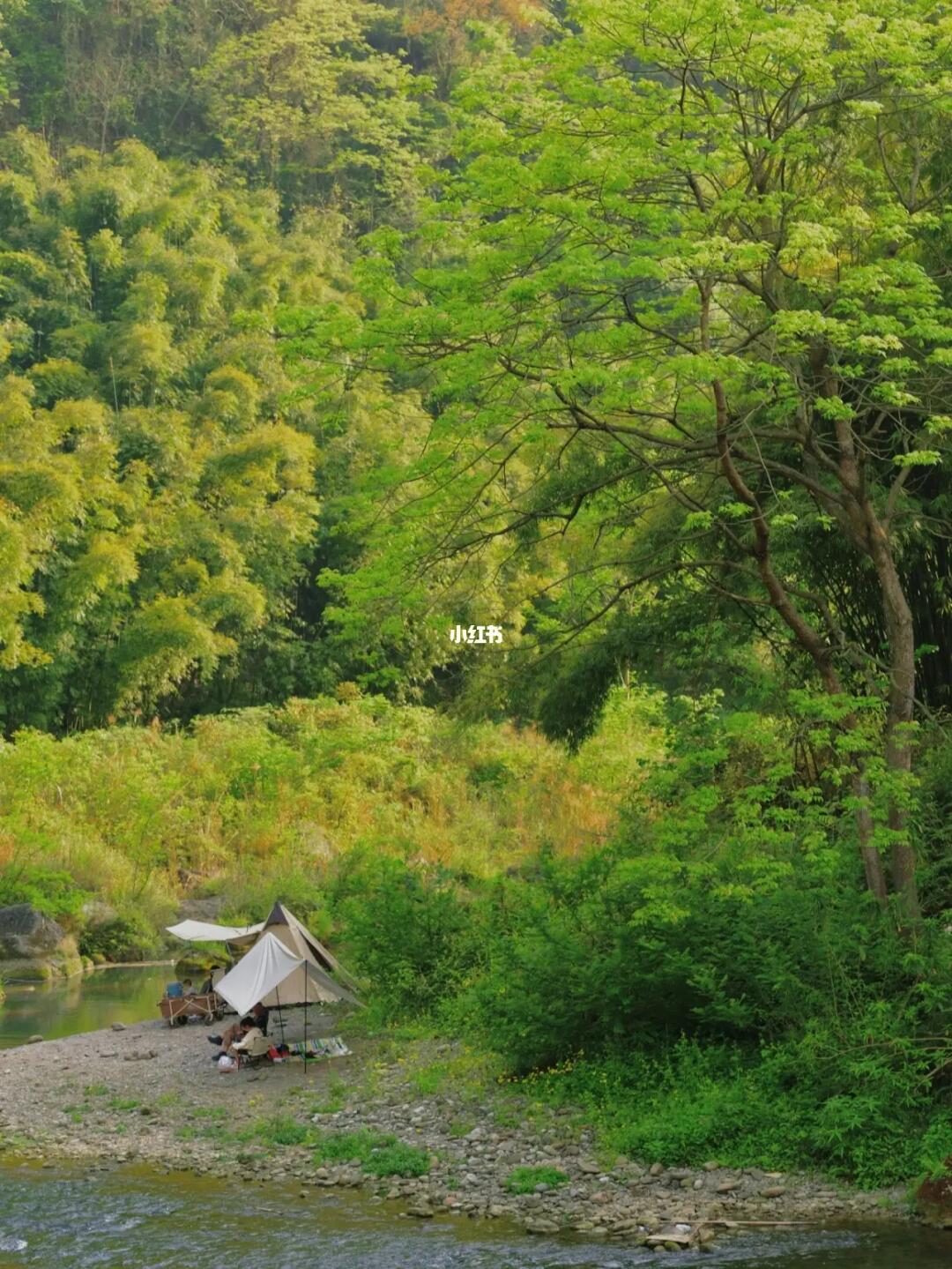 成都周边1.5h |溪边挪威森林🎬徒步+露营