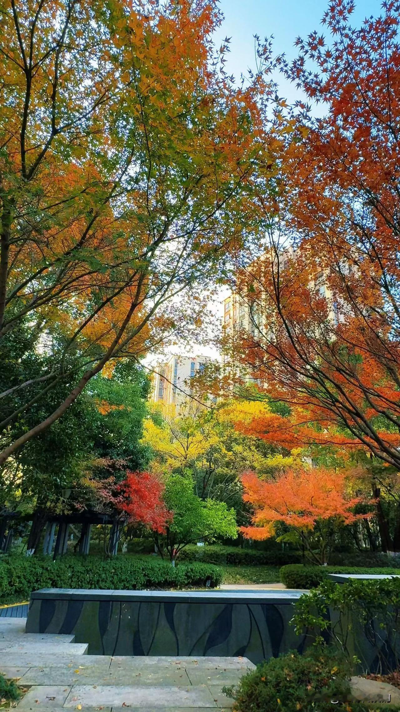 年底了，又是口袋瘪得最快的时候。来看看，你们那的喜事随礼是不是也是这样的？
 1