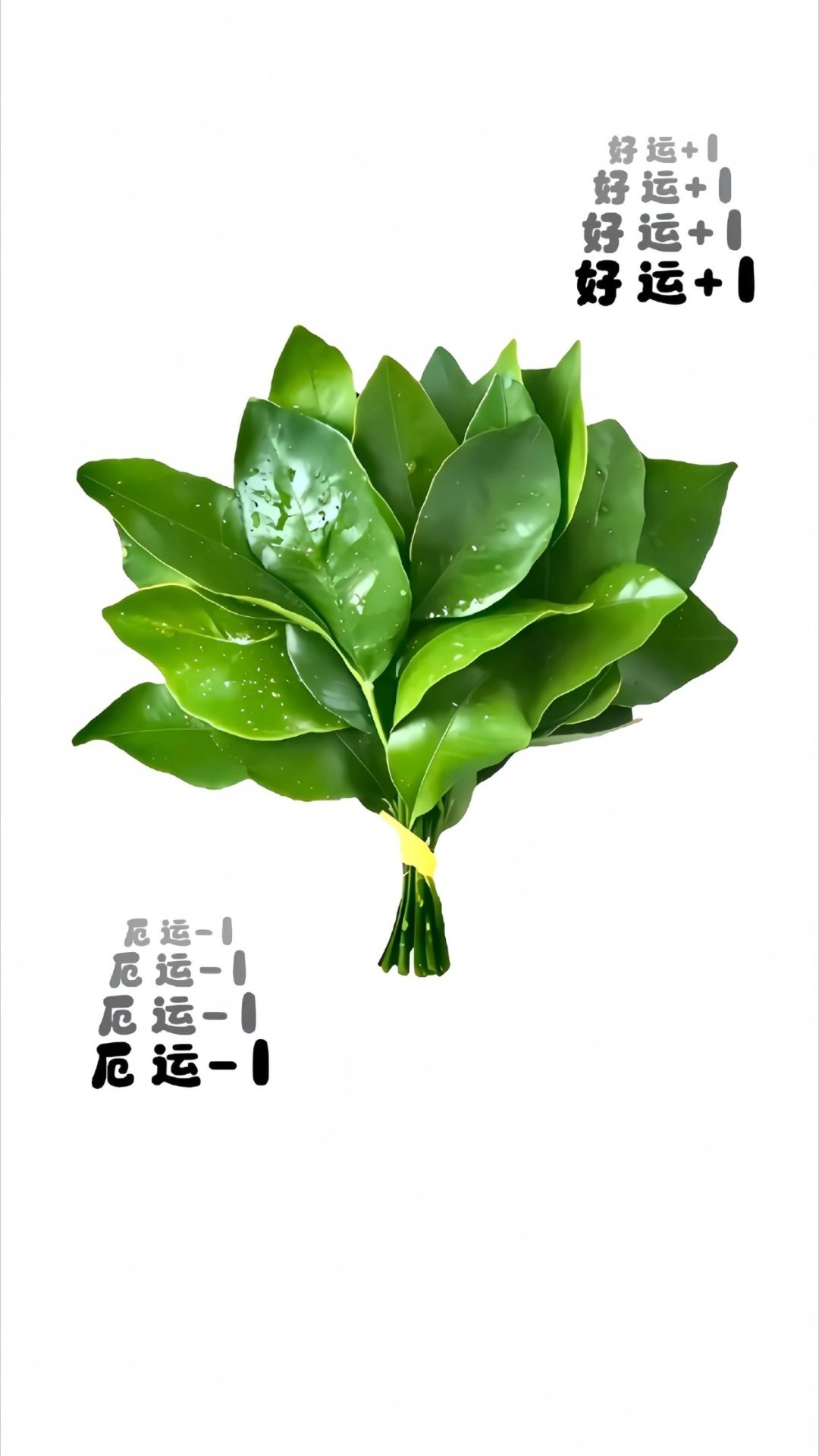十二星座7月月运 7月我们都会巨顺利！ 