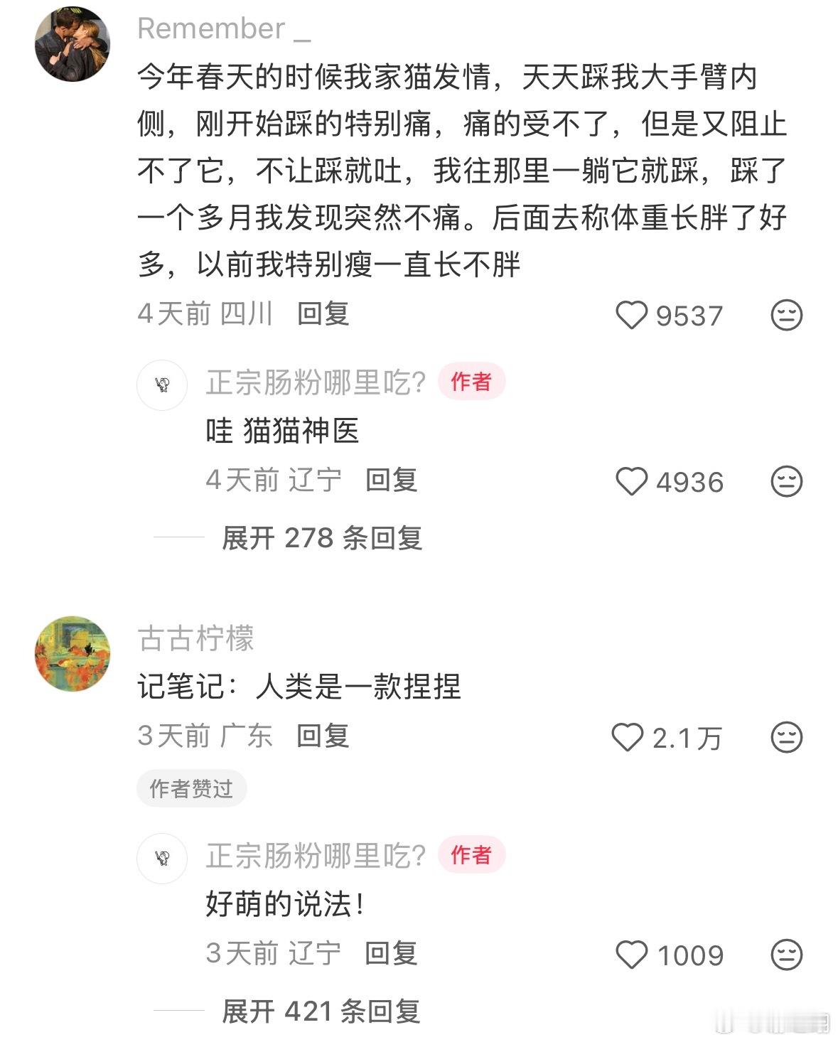人类是一款捏捏。 ​​​
