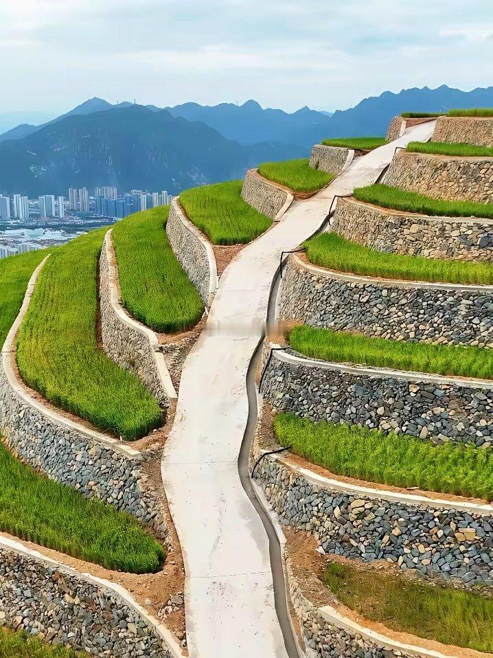水稻上山，新时代的旷世杰作，再过几年应该可以申遗了！ 
