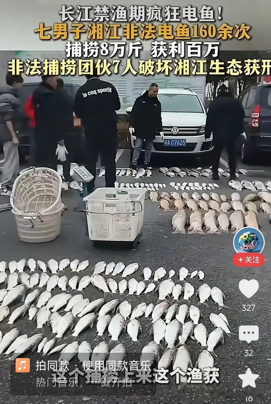 七个人夜里开着改装小船，用高压电杆伸进湘江电鱼，两年捞了八万斤卖上百万，这简直是