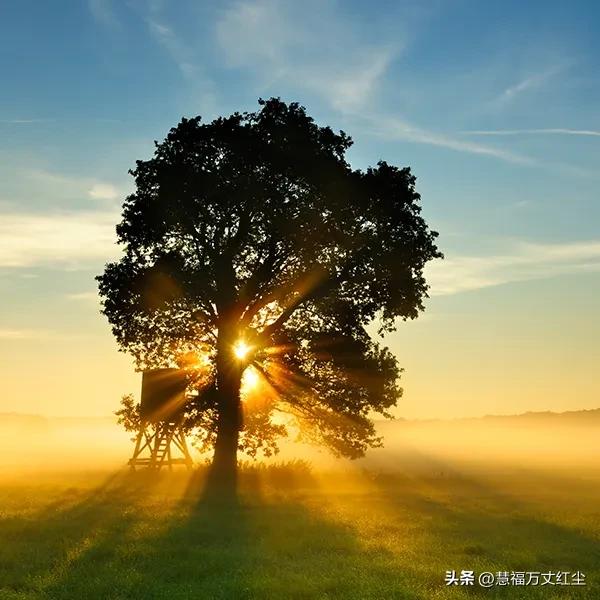 万丈阳光。很多图片看起来有点伤感的感觉！不知道为什么