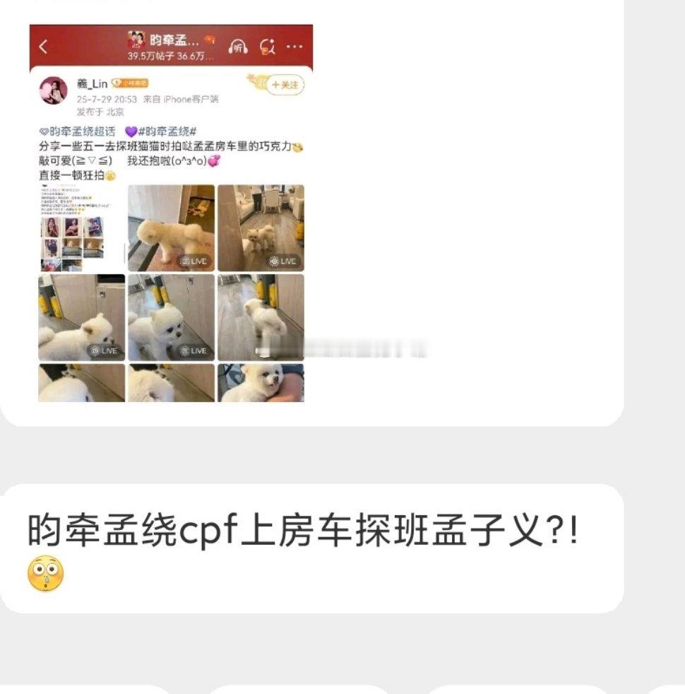 tg:昀牵孟绕cpf上房车探班孟子义？ ​​​