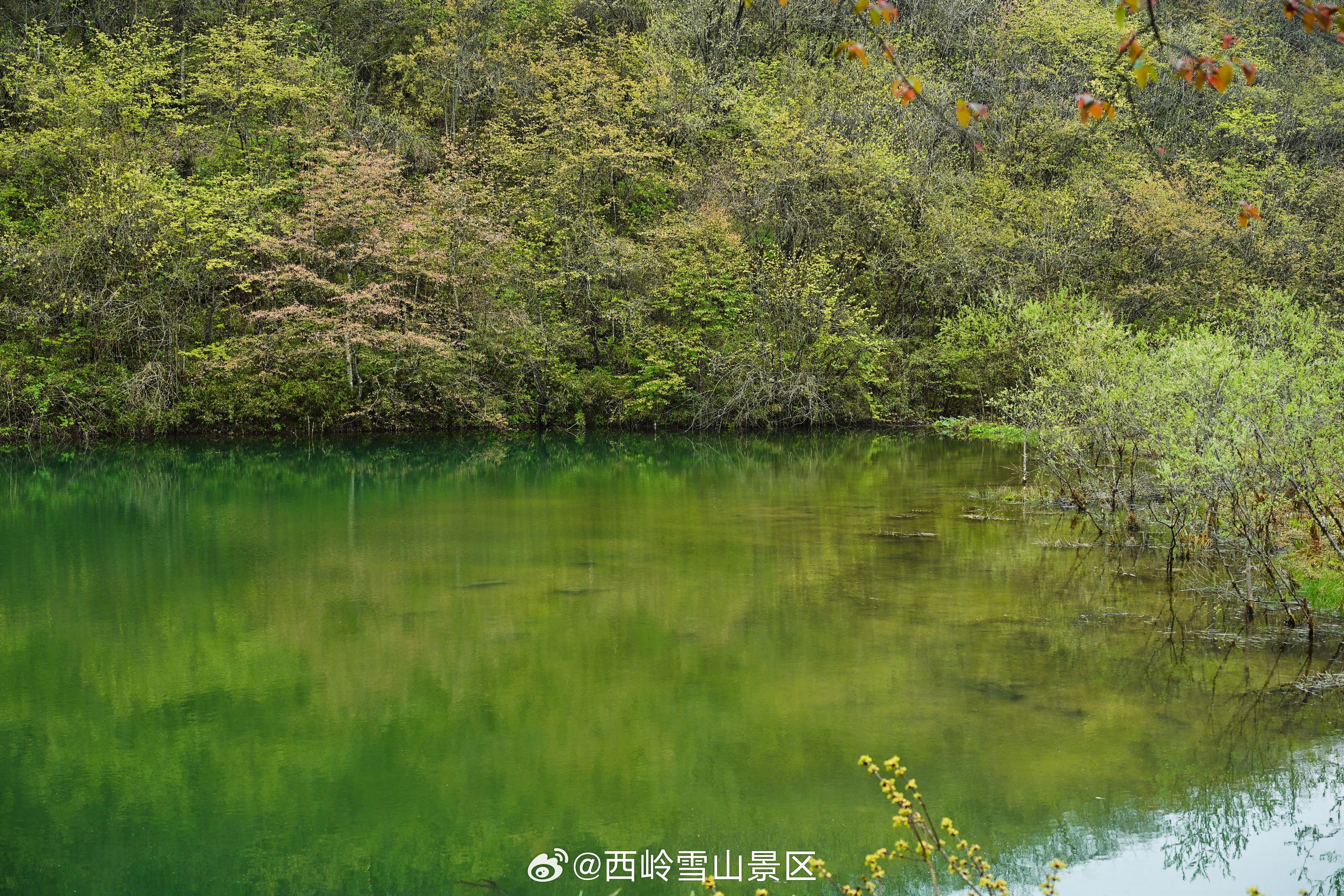 【五一必冲！免票徒步，领新鸡蛋，看“玻璃海”！】西岭雪山放大招：即日起至2026