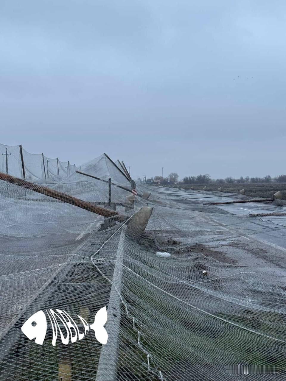 大事不好，乌克兰尼古拉耶夫-赫尔松公路上，一段设有反无人机防护网的道路发生坍塌事