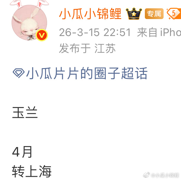 玉兰花开4月转场 sh 