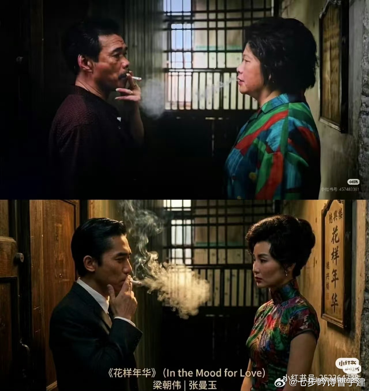 草哈哈哈哈 