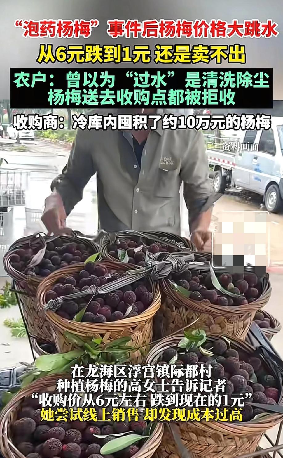 事情还在发酵！
福建杨梅事件真是一颗老鼠屎坏了一锅汤，无数果农只能把杨梅扔在地里