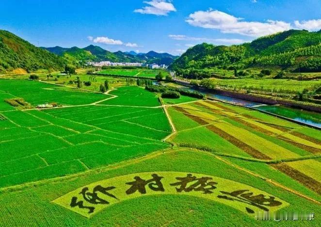 想要乡村振兴，提高农民收入是根本！

来源:逍遥论经

乡村振兴战略是实现中华民