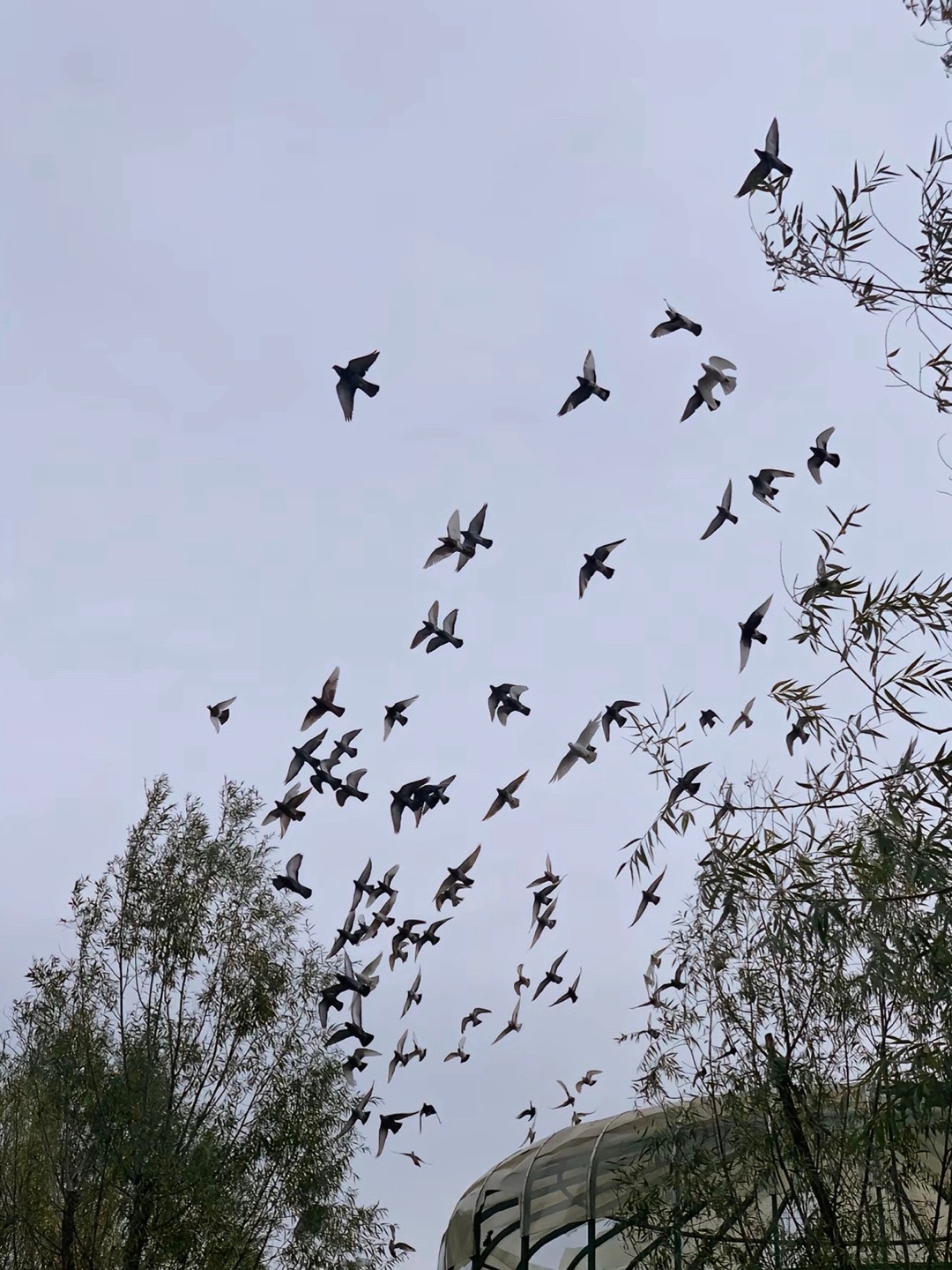 用加法爱人，用减法怨恨，用乘法感恩，用除法解忧 