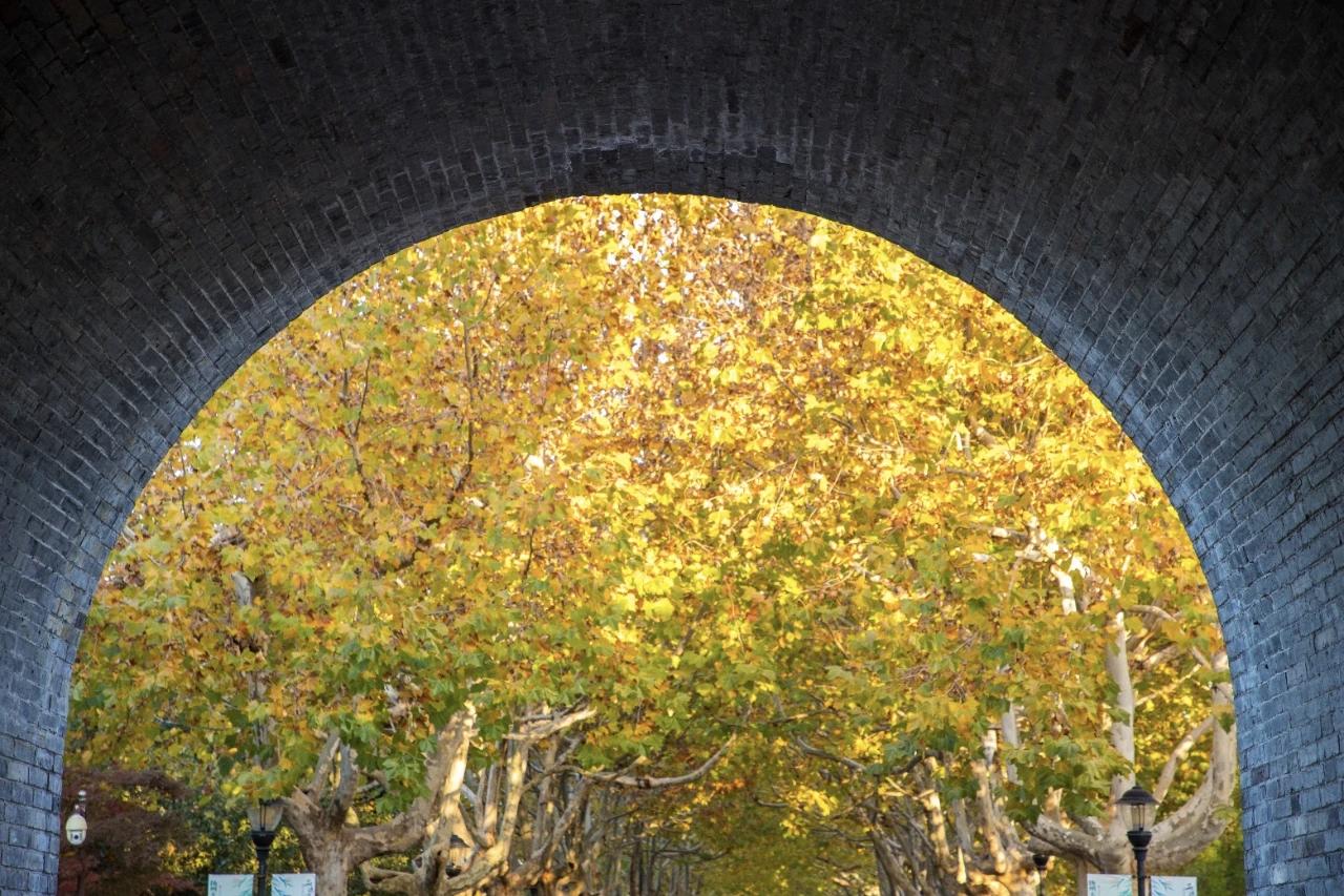 【看破而不说破，大家都好过】
        “看破而不说破，大家都好过”，这话