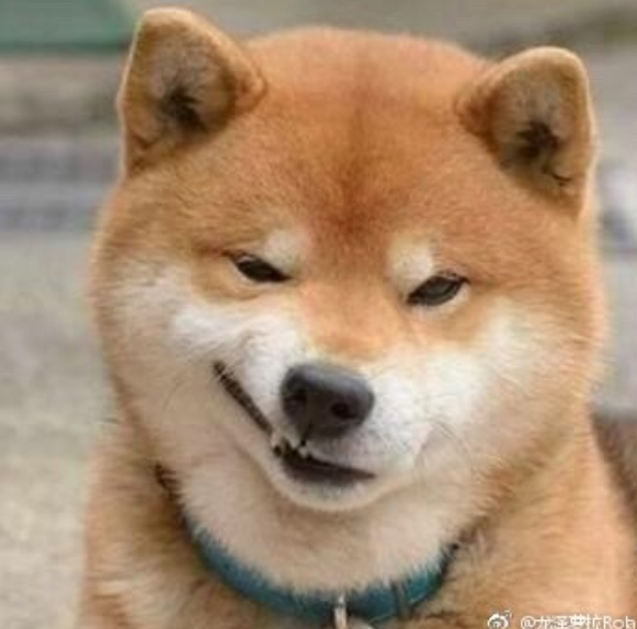 嘉人！我懂你为什么非要坚持金九压轴了！爽翻了吧已经？杂志社上下估计belike↓