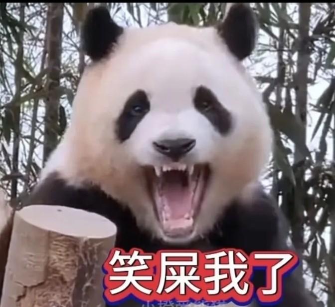 老公出轨邻家女半年，我被蒙在鼓里，生活如地狱。终于，一场争吵，我骨折报警，他的背