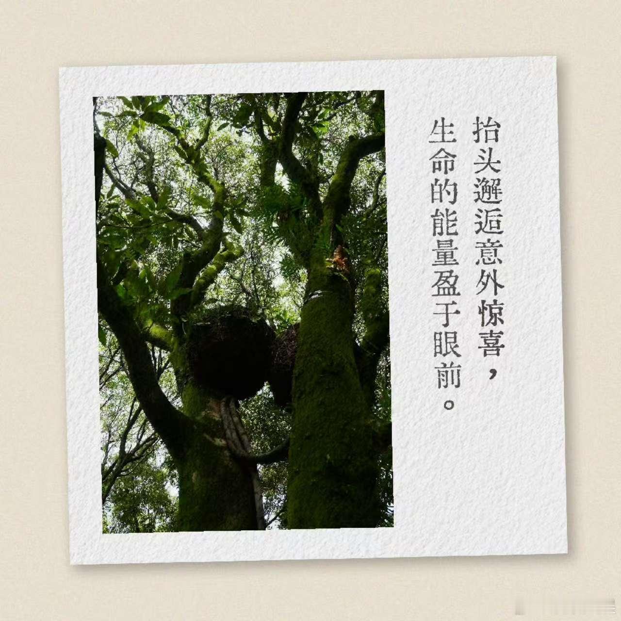 赵丽颖拍的生活瞬间赵丽颖周一分享赵丽颖周一分享，生活瞬间，[太开心][太开心][