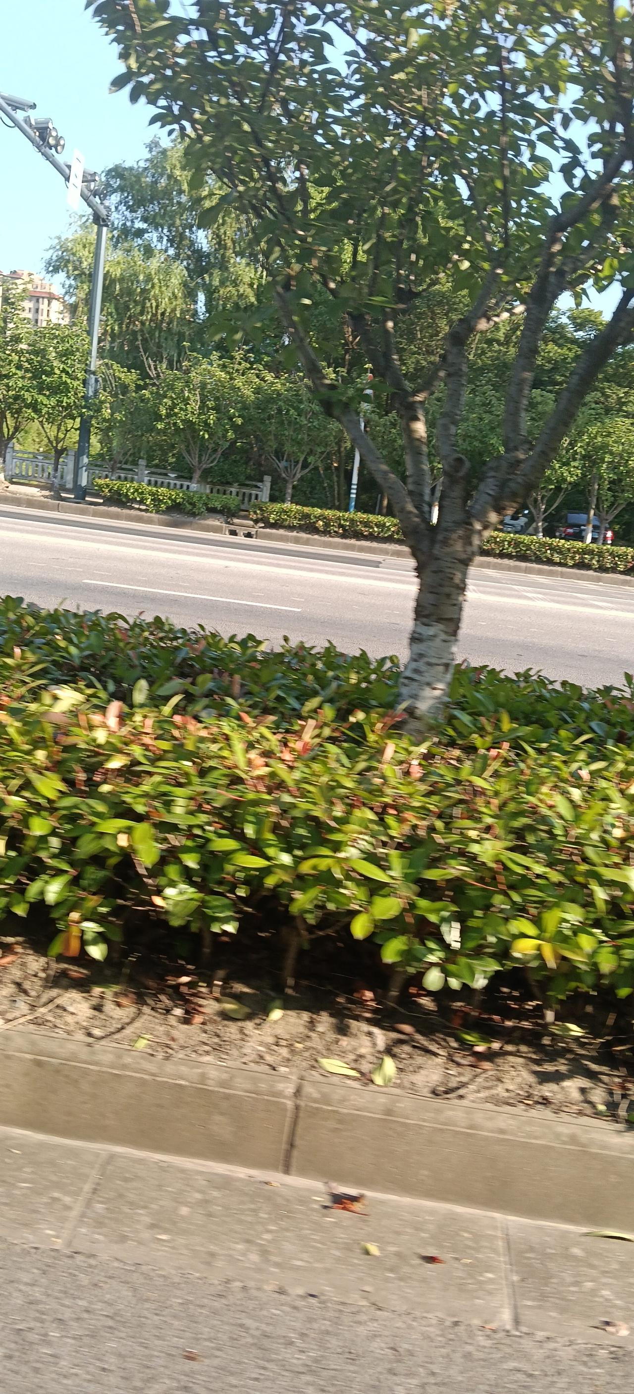 真心话茶局
自然风光美极了！