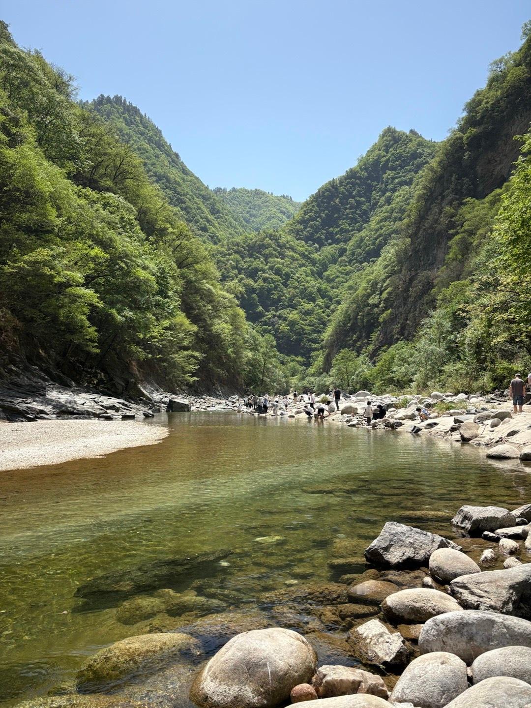 黑河国家森林公园是个什么野鸡景区，还4A，太坑了，开车三四个小时全是山路，连个卖