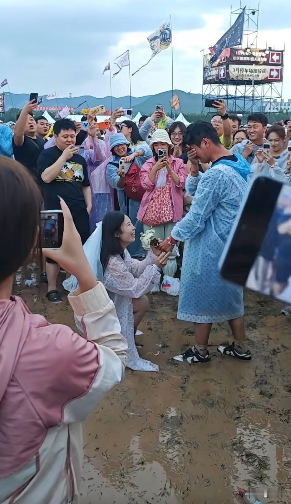 你们看吧，我先回家了