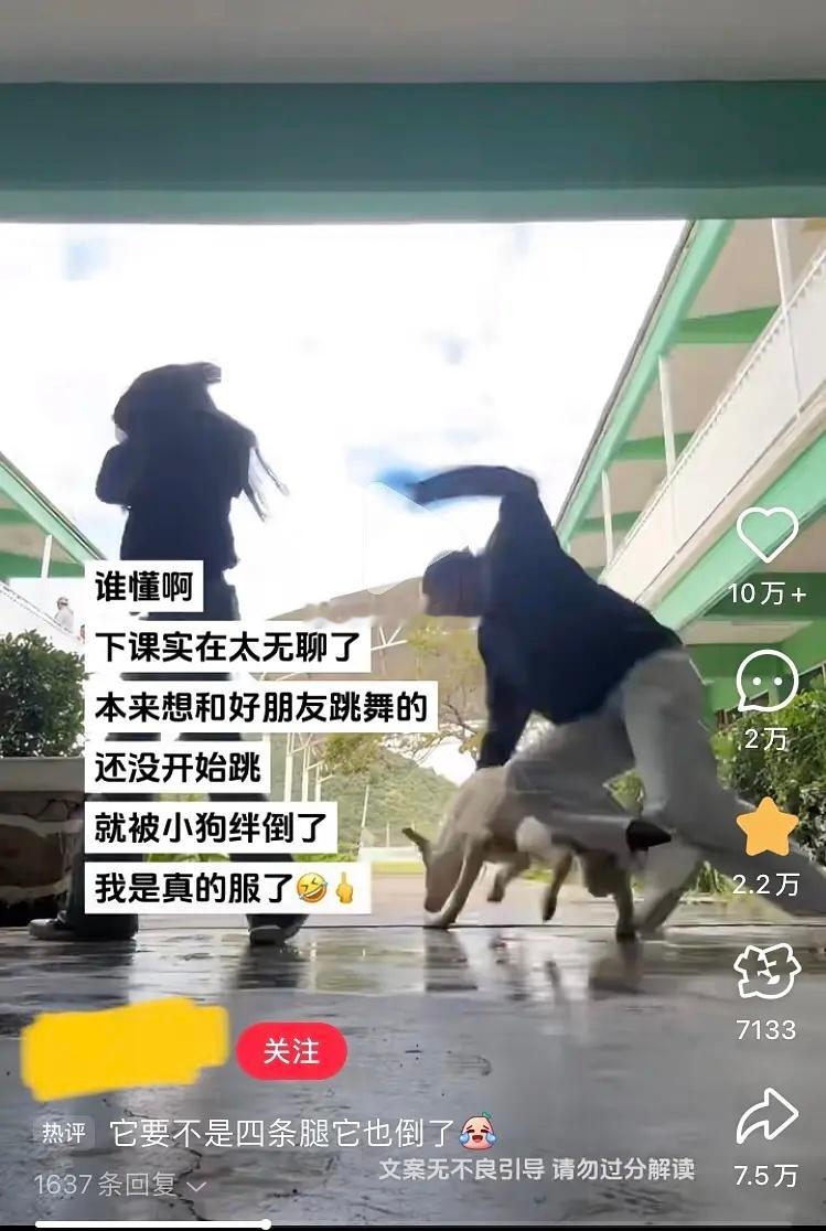 网友被小狗绊倒，评论区⬇️⬇️ ​​​