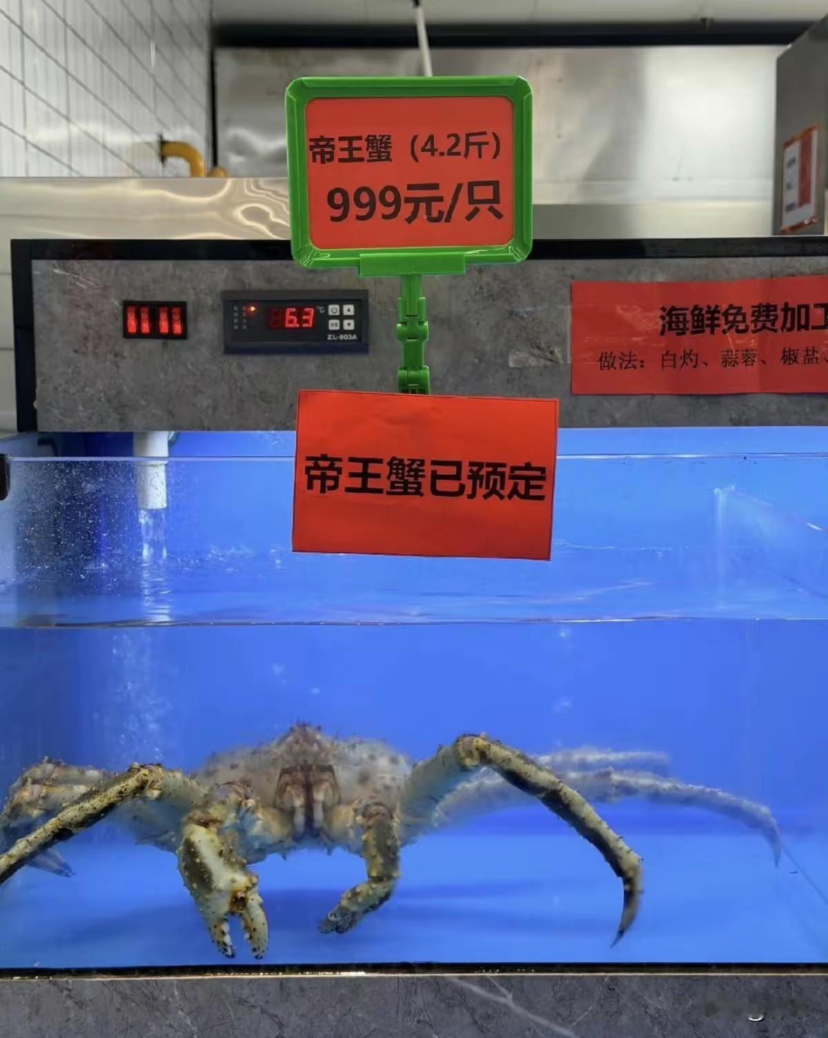 都说学生的钱是最好赚的，一点不错。南京大学食堂999一只的帝王蟹安排上。每次一只