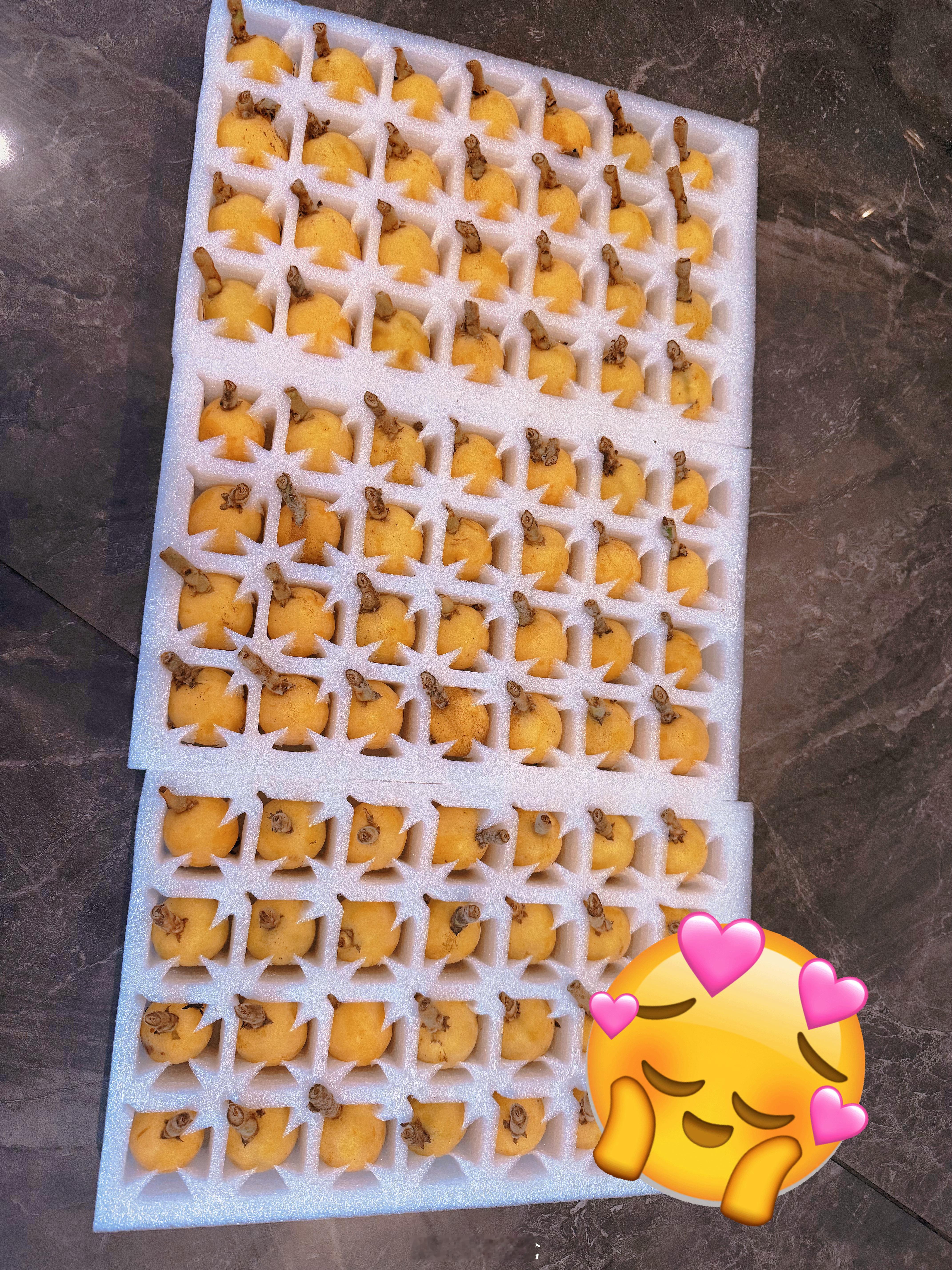 收到了豆豆女神的投喂爱你哟😘 