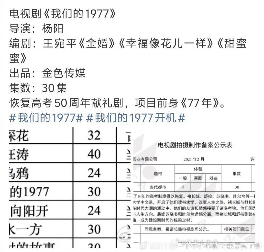 洋粉丝会更中意我的1977这个饼才怪，上次合作杨阳导演凡人大ip都扑街这个题材明