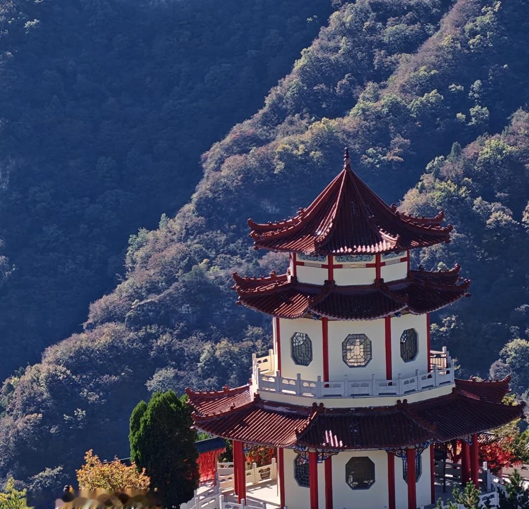 阿莱双两亿影像，轻松拍出电影感，第五代骁龙8至尊版芯片，影像性能兼顾