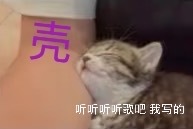 早上听到小咪兴高采烈的声音 心情开始变好以前总觉得这种喜悦很简单 小咪开心 我就