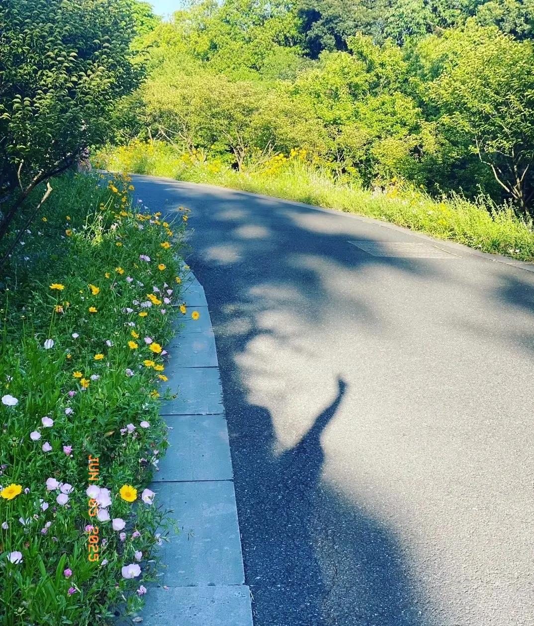 芒种过后，风里有了夏日的味道
