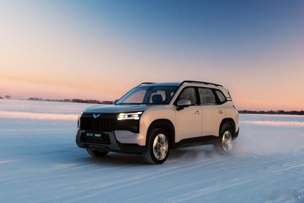 燃油、插混、纯电三动力同时兼容，五菱真🐂🍺五菱星光 560 硬派 SUV 长