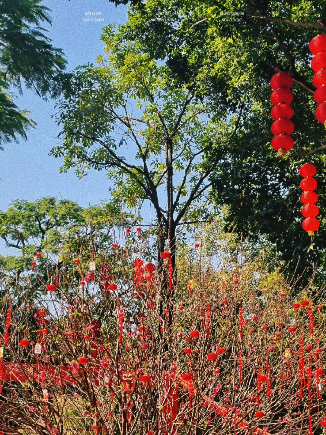 这里真的好好拍❤️🏮