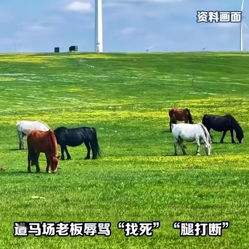 把你腿打断！给老娘说话！找死！你敢相信吗？

就因为游客景区没花钱骑马，竟被马场