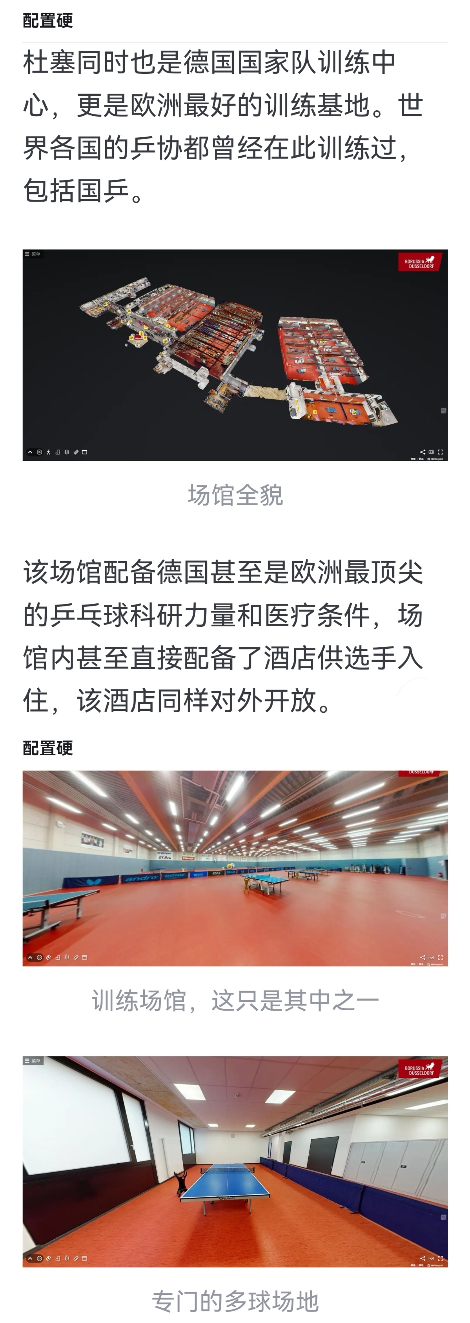 史上最强乒乓球选手加盟史上最强乒乓球俱乐部杜塞尔多夫即将迎来自己的巅峰时刻，做到