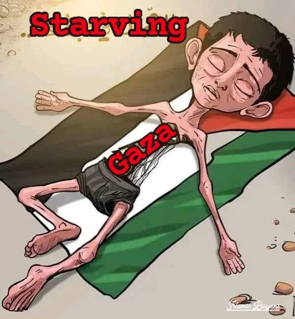 Palestine 🇵🇸