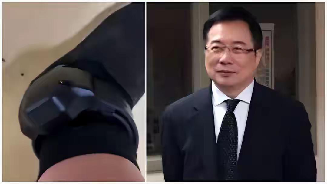 台湾的名嘴。蔡正元博士。今天入狱服刑被民进党判刑三年。
就是今天27号。蔡正元是